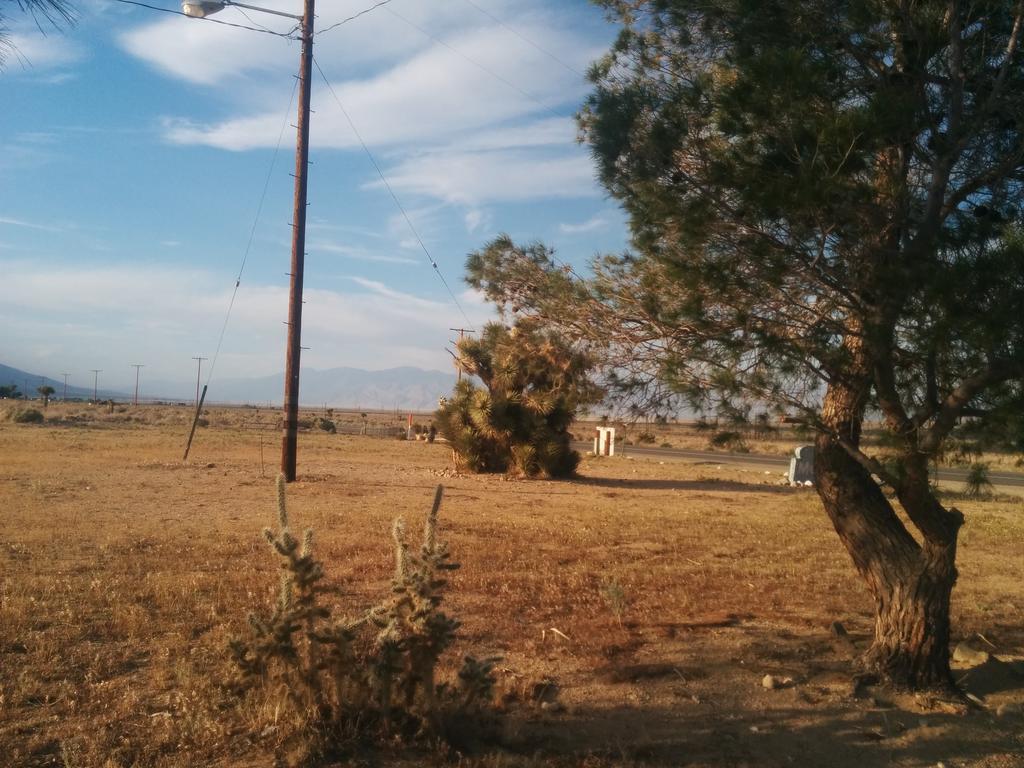 Rustic Oasis Motel Olancha Bagian luar foto