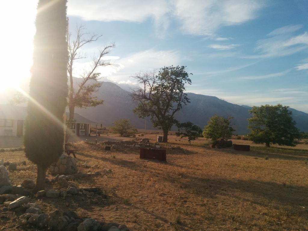 Rustic Oasis Motel Olancha Bagian luar foto